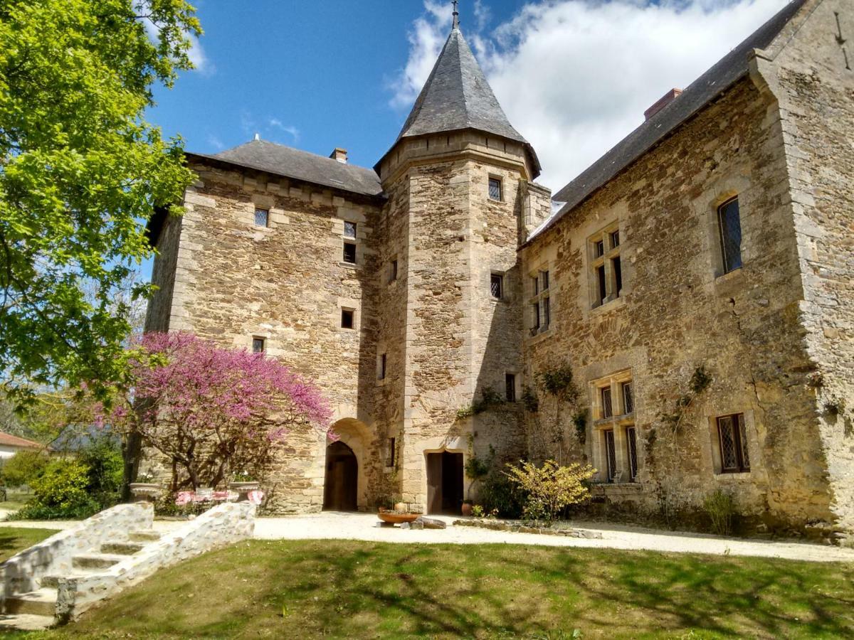 Chateau De Chanze Faye-d'Anjou Exterior foto